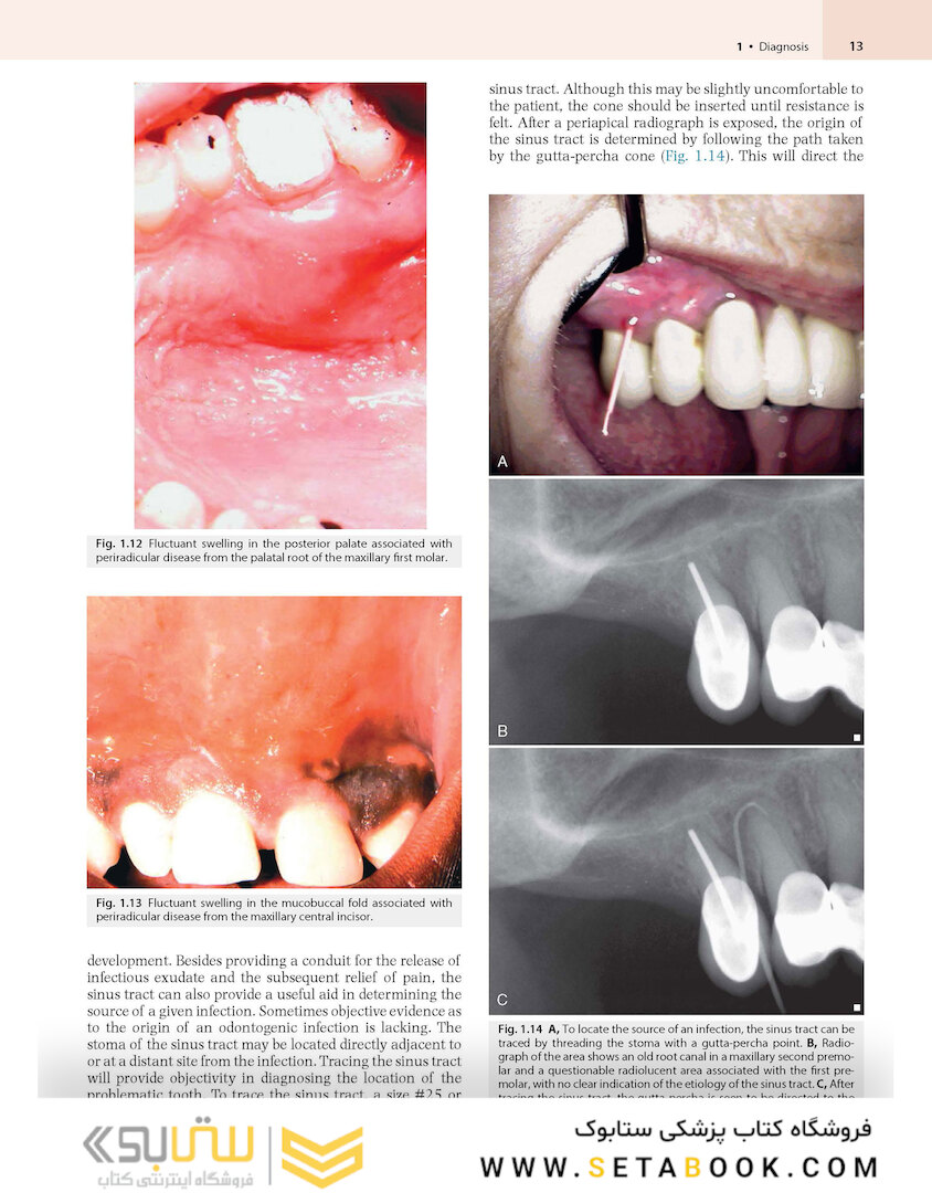 Cohen’s Pathways of the Pulp 12th Edition 2020