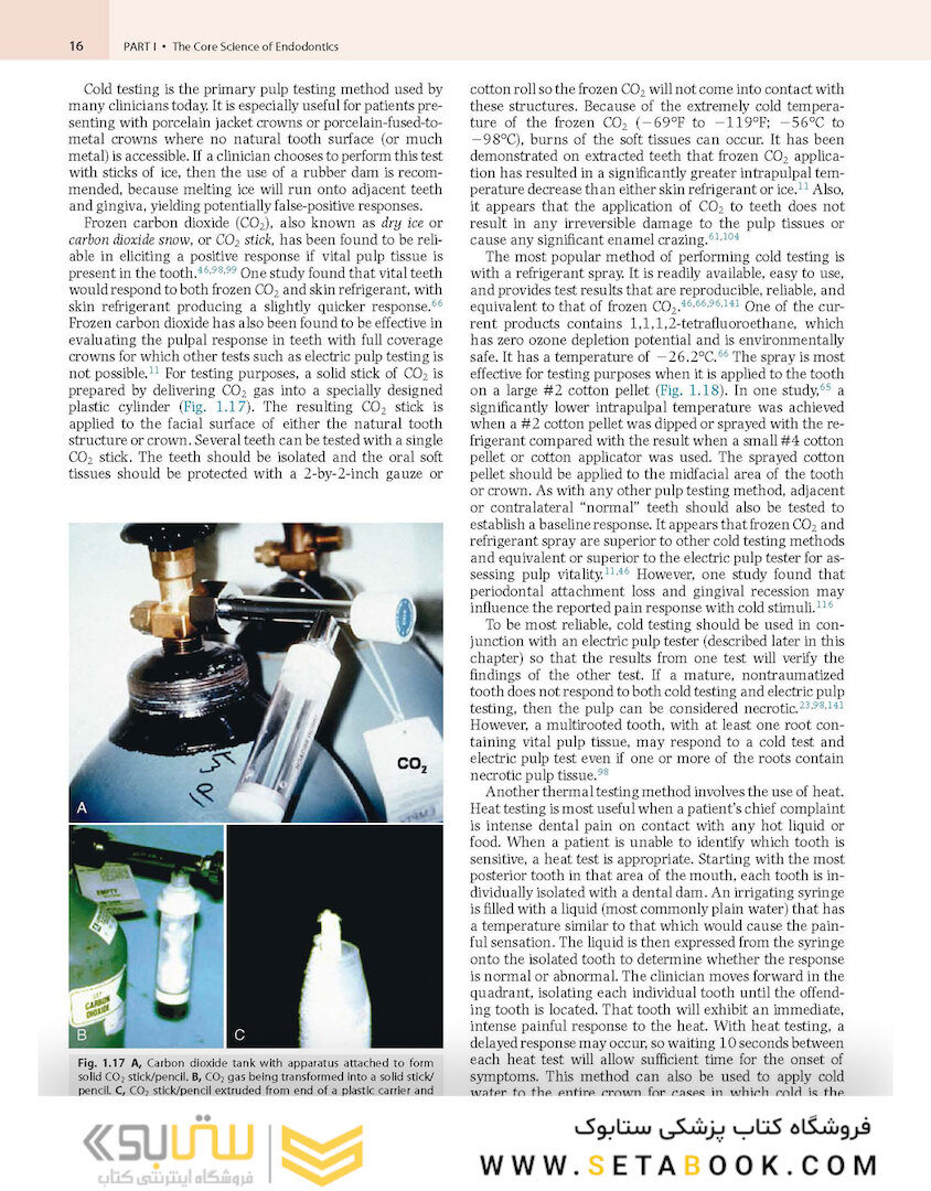 Cohen’s Pathways of the Pulp 12th Edition 2020