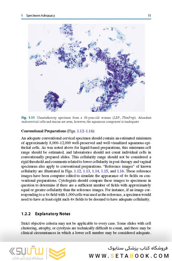 The Bethesda System for Reporting Cervical Cytology, 3rd Edition 2015