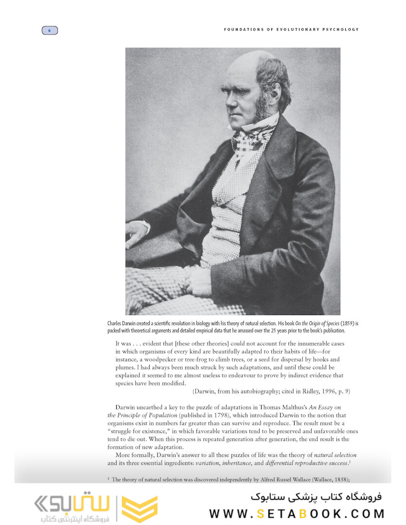 Evolutionary Psychology: The New Science of the Mind 2019