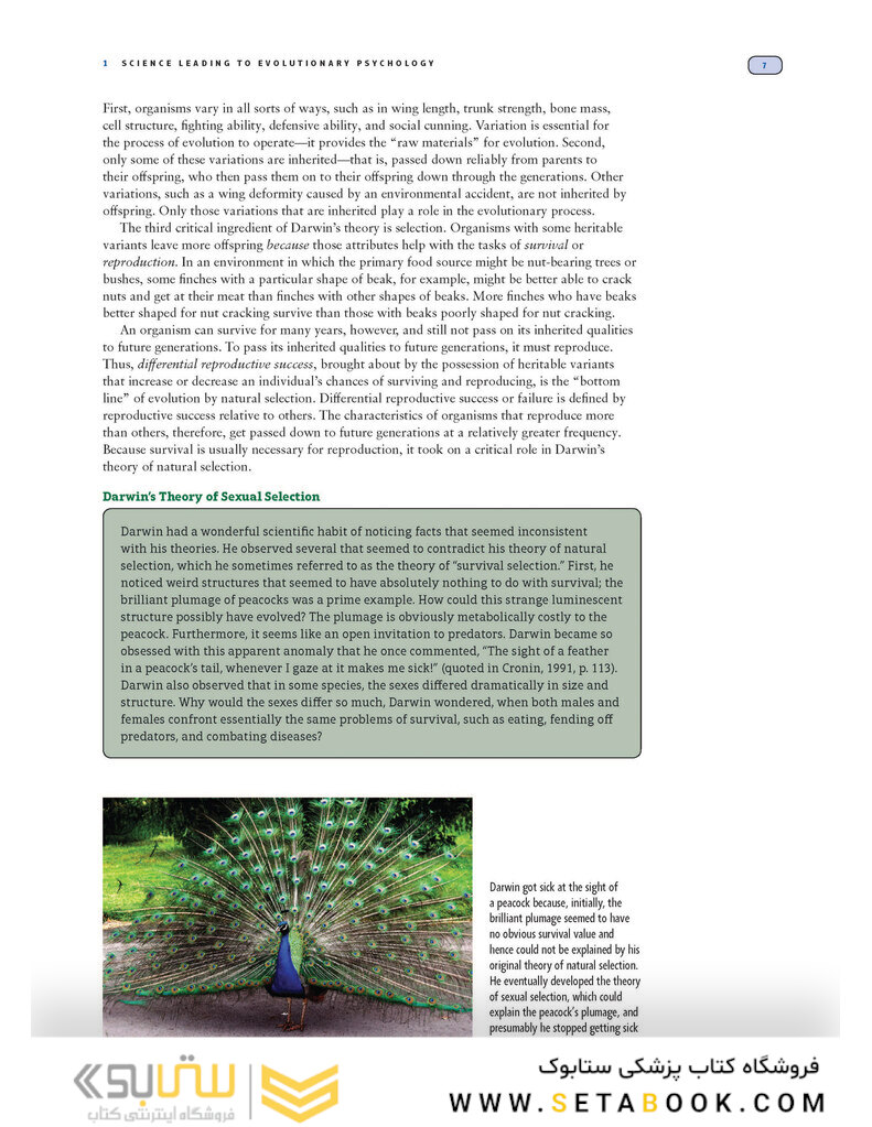 Evolutionary Psychology: The New Science of the Mind 2019