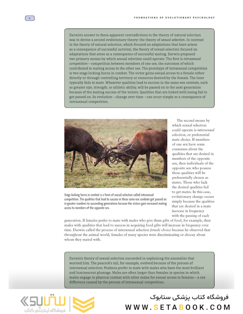 Evolutionary Psychology: The New Science of the Mind 2019