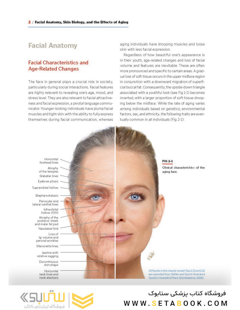 PRF in Facial Esthetics