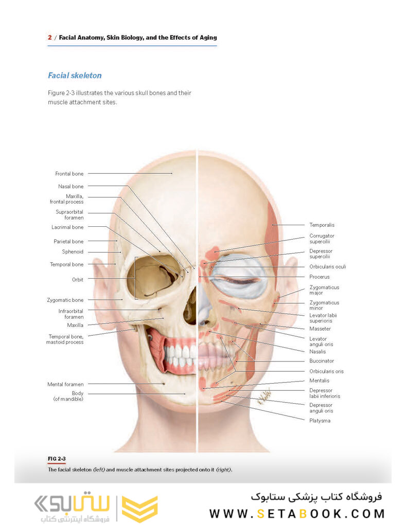 PRF in Facial Esthetics