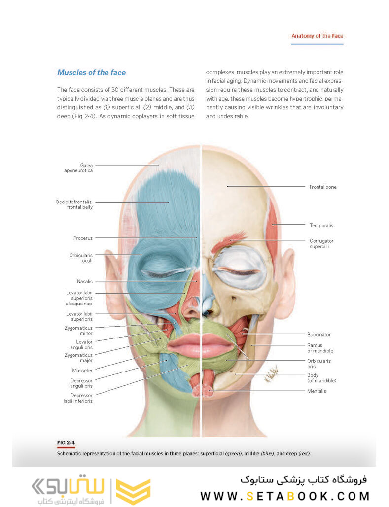 PRF in Facial Esthetics