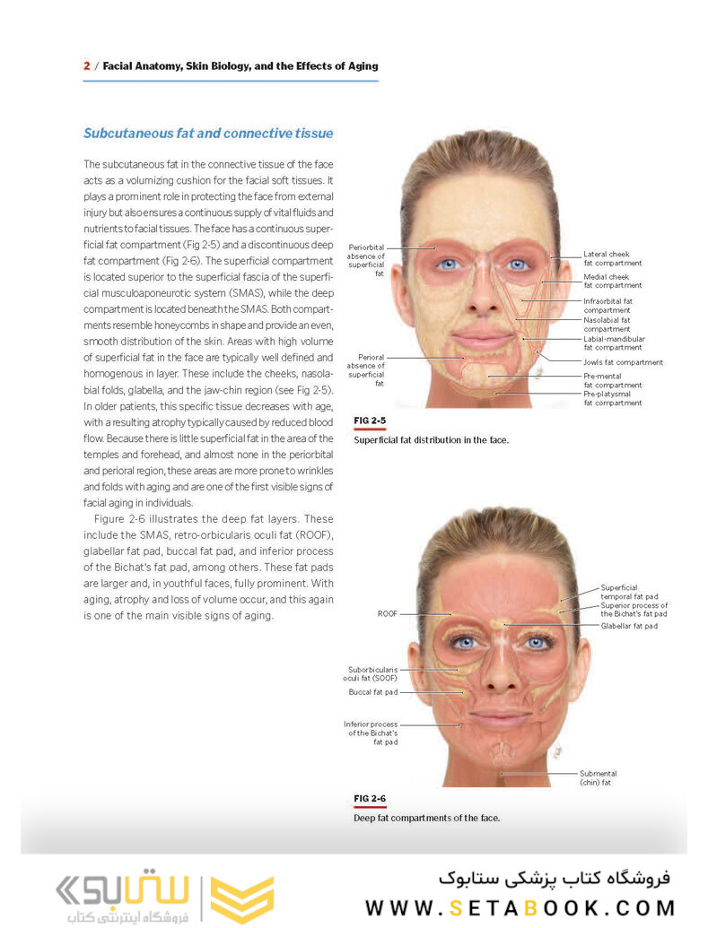 PRF in Facial Esthetics
