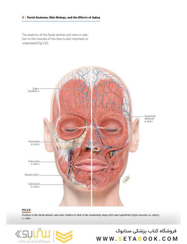 PRF in Facial Esthetics
