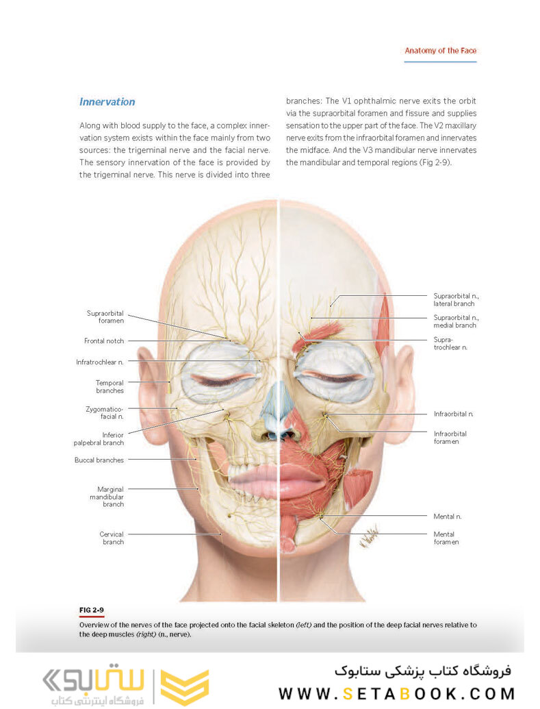 PRF in Facial Esthetics
