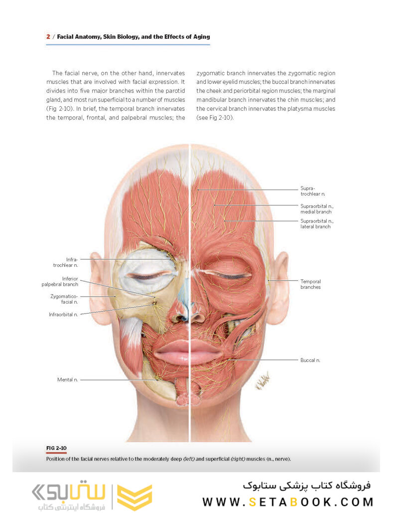 PRF in Facial Esthetics