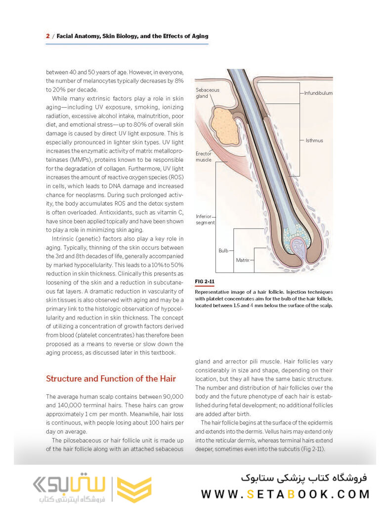 PRF in Facial Esthetics