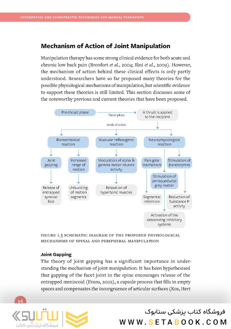 Osteopathic and Chiropractic Techniques for Manual Therapist