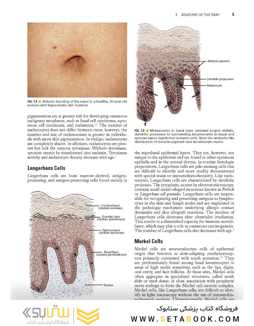 Local Flaps in Facial Reconstruction 2022