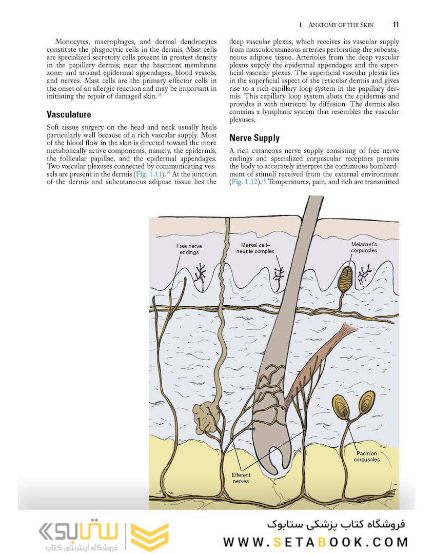 Local Flaps in Facial Reconstruction 2022