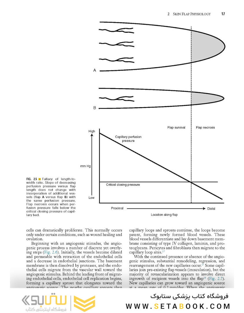 Local Flaps in Facial Reconstruction 2022