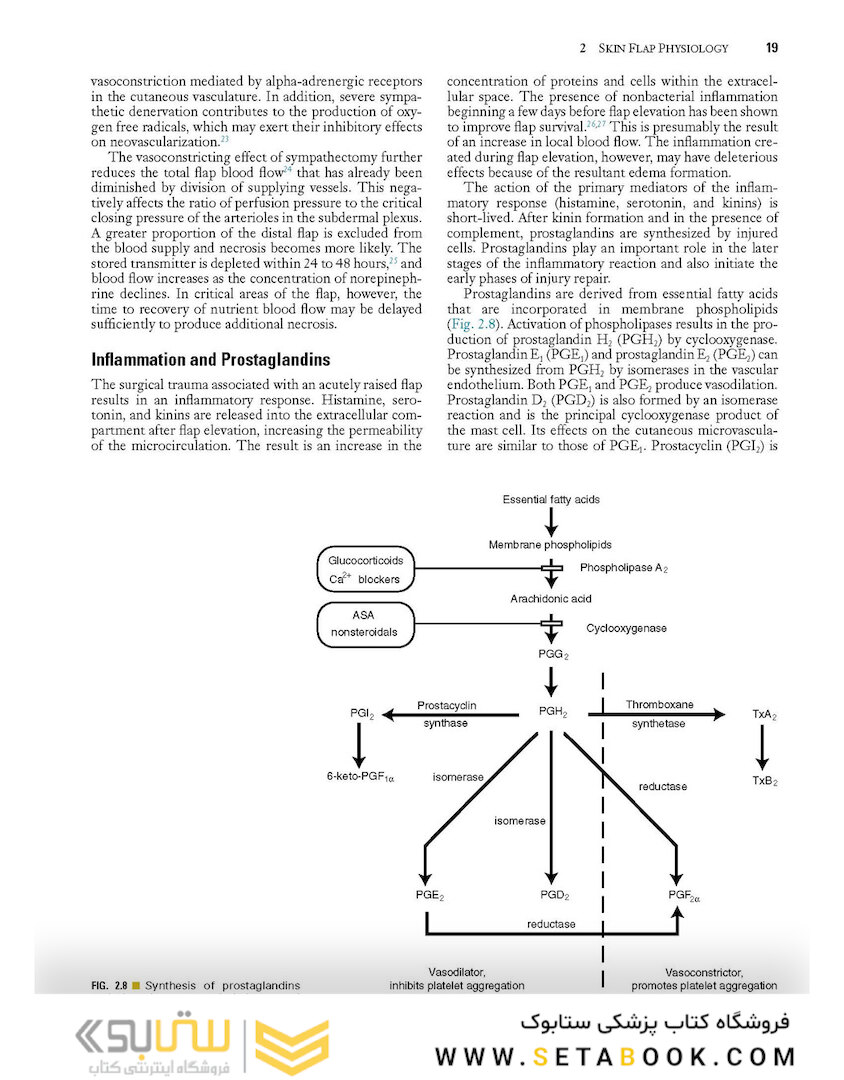 Local Flaps in Facial Reconstruction 2022