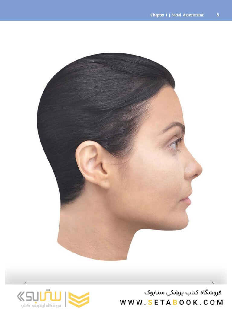 Dermal Fillers : Facial Anatomy and Injection Techniques2020