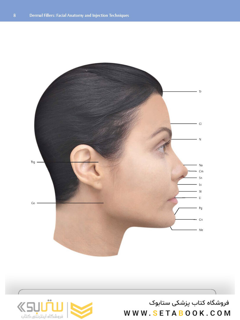 Dermal Fillers : Facial Anatomy and Injection Techniques2020