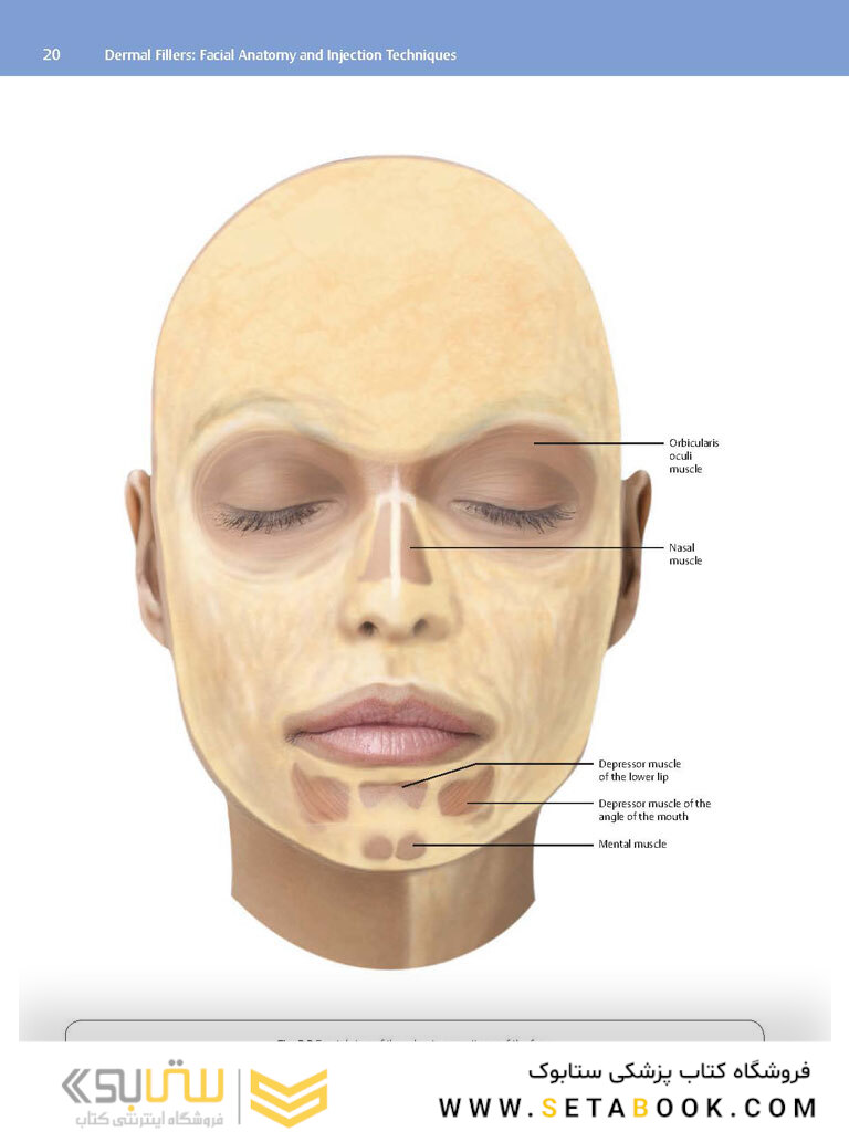 Dermal Fillers : Facial Anatomy and Injection Techniques2020