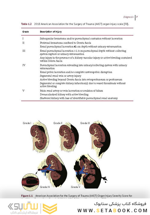 A Clinical Guide to Urologic Emergencies2021