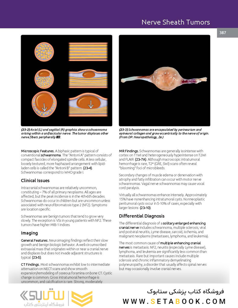 Essentials of Osborn