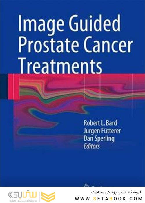 Image Guided Prostate Cancer Treatments2013