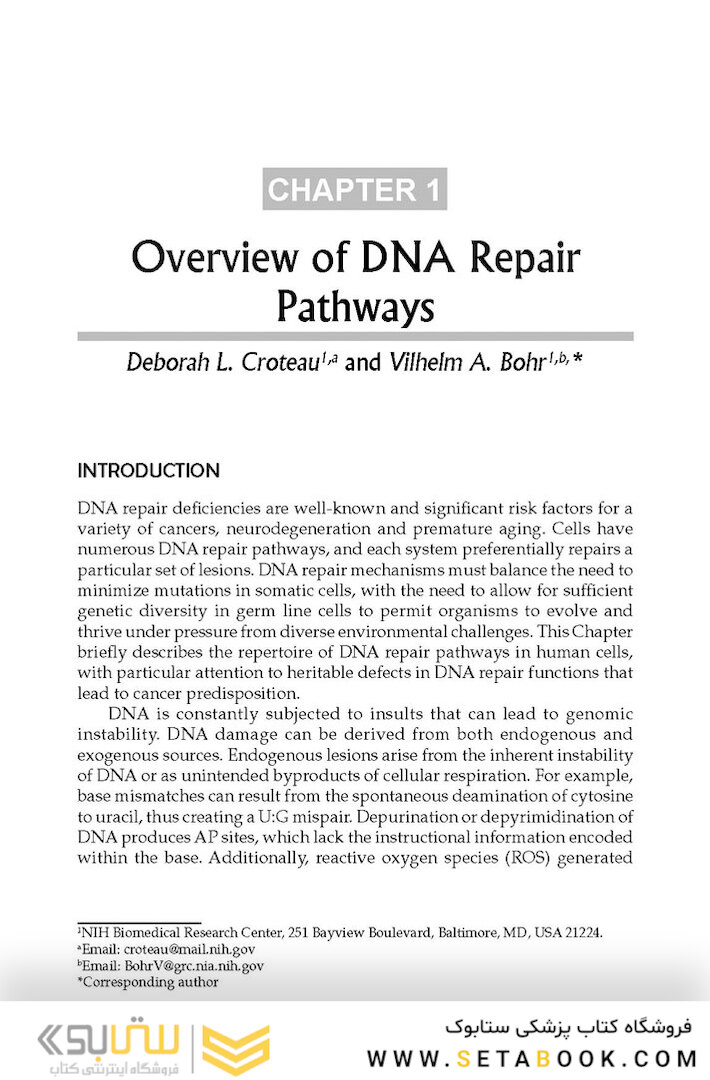 DNA Repair and Cancer : From Bench to Clinic2013
