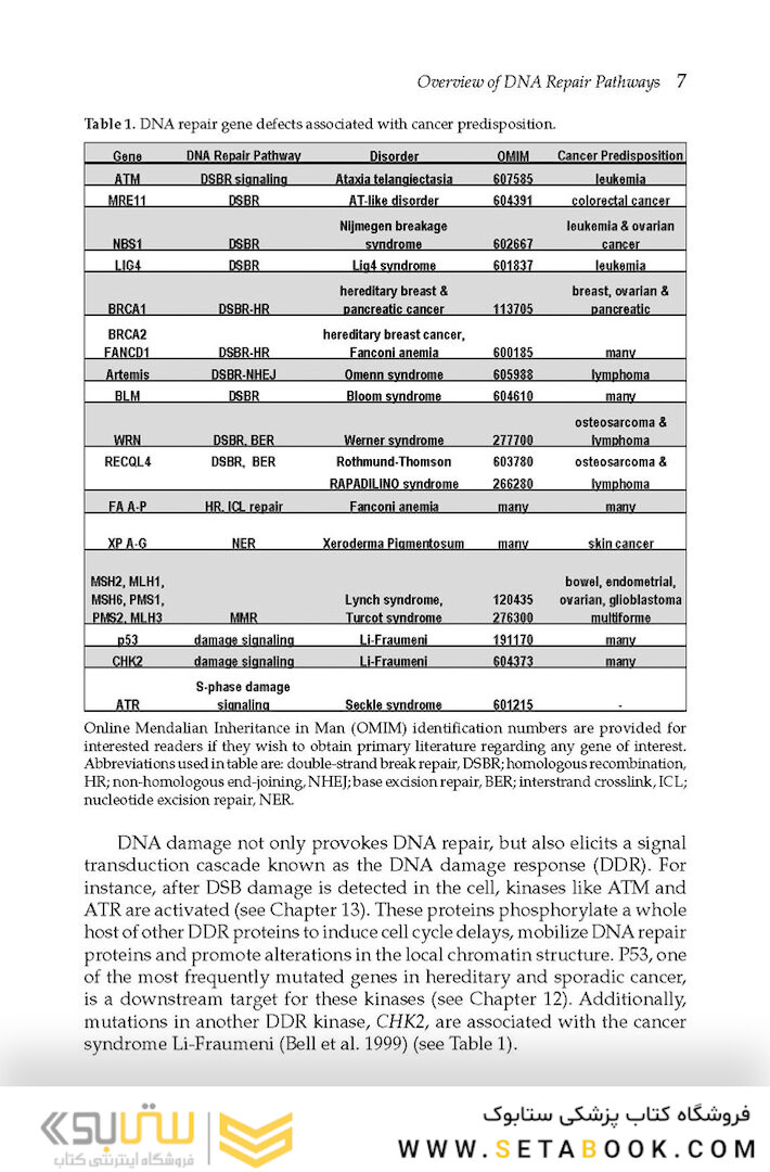 DNA Repair and Cancer : From Bench to Clinic2013