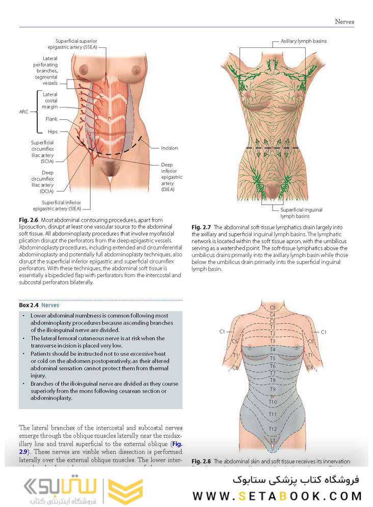 Atlas of Abdominoplasty
