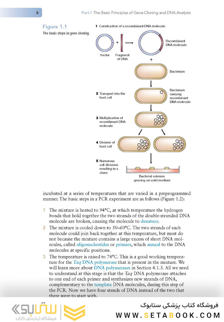 کتاب Gene Cloning and DNA Analysis: An Introduction