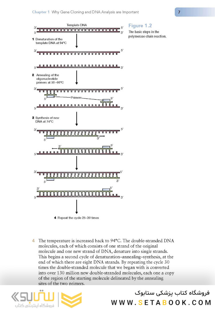 کتاب Gene Cloning and DNA Analysis: An Introduction