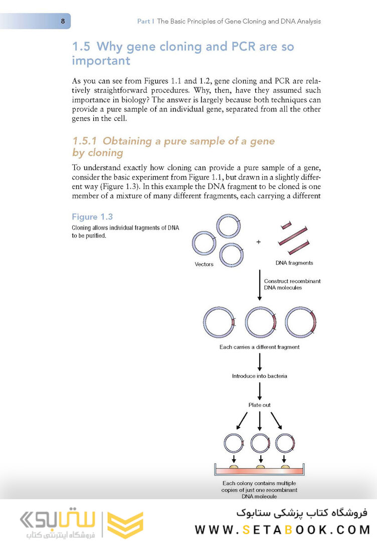 کتاب Gene Cloning and DNA Analysis: An Introduction
