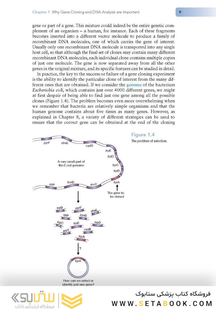کتاب Gene Cloning and DNA Analysis: An Introduction