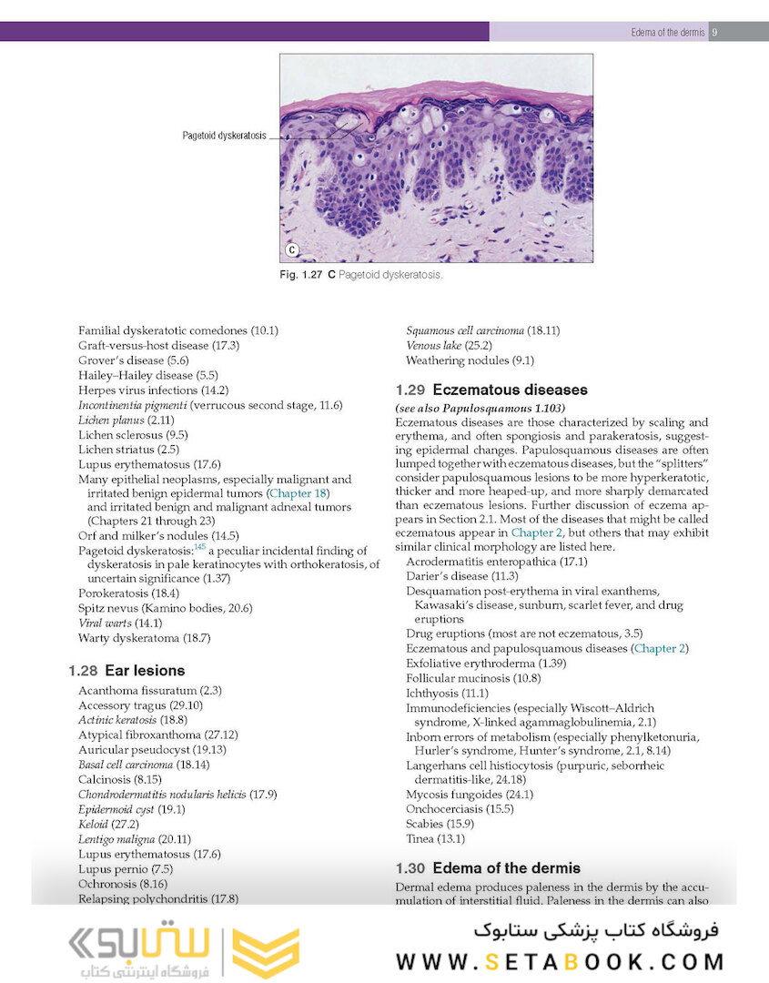 Practical Dermatopathology2021