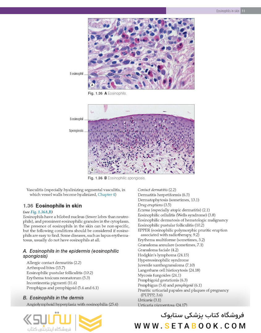 Practical Dermatopathology2021