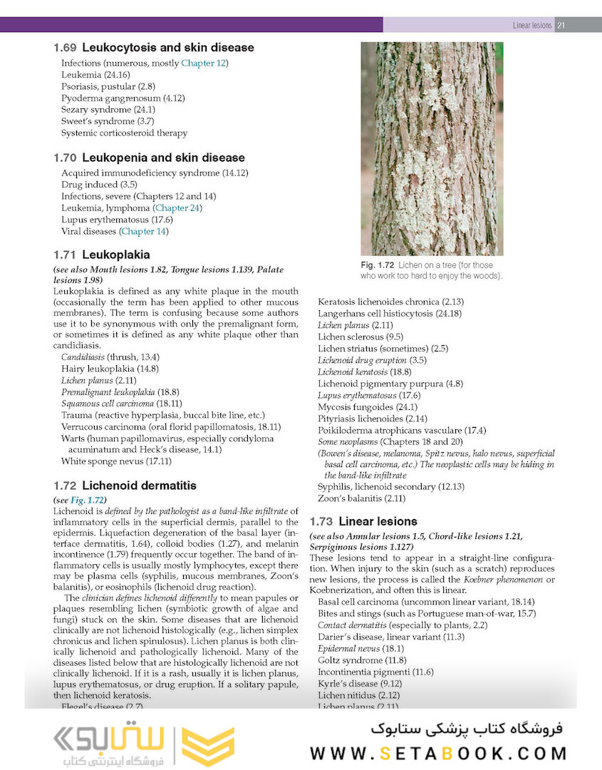 Practical Dermatopathology2021