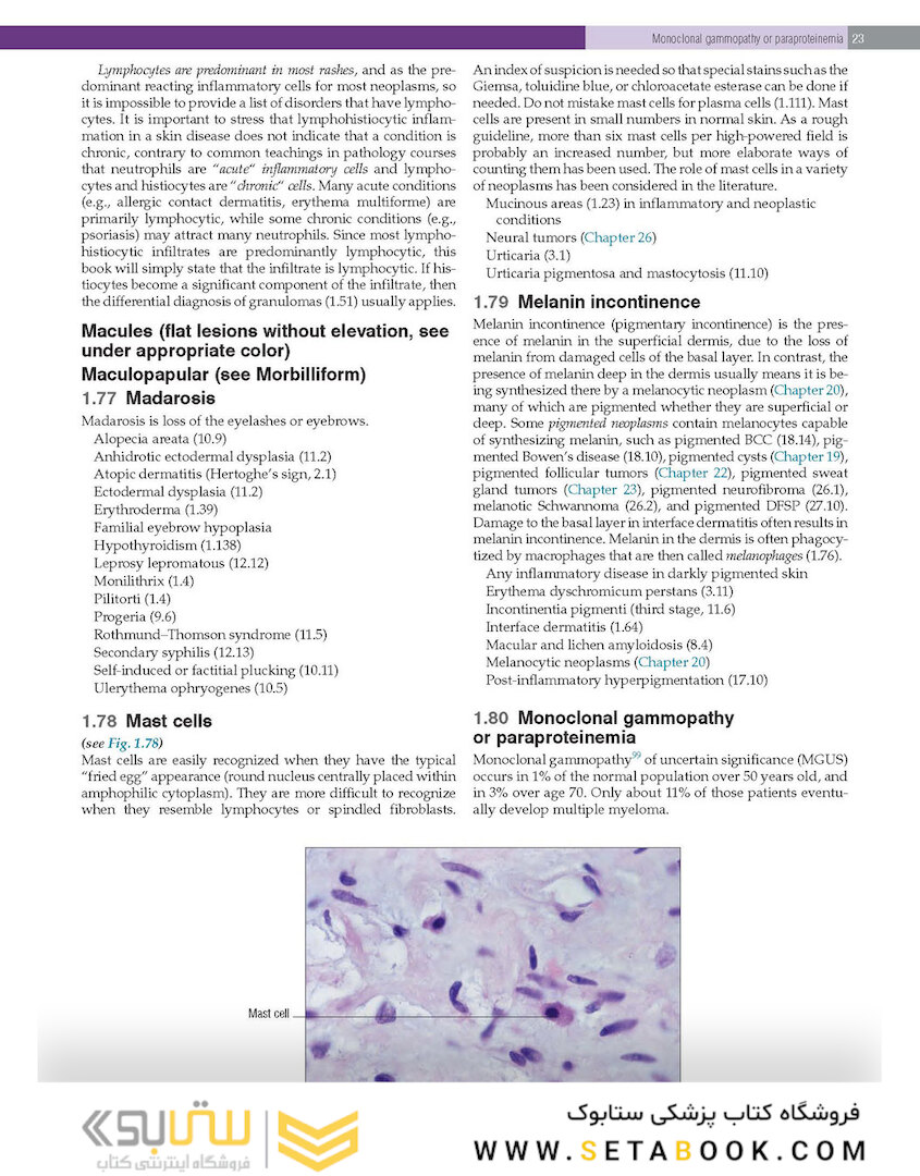 Practical Dermatopathology2021