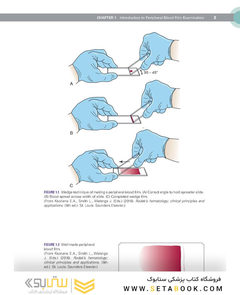 Clinical Hematology Atlas 6th Edicion 2022