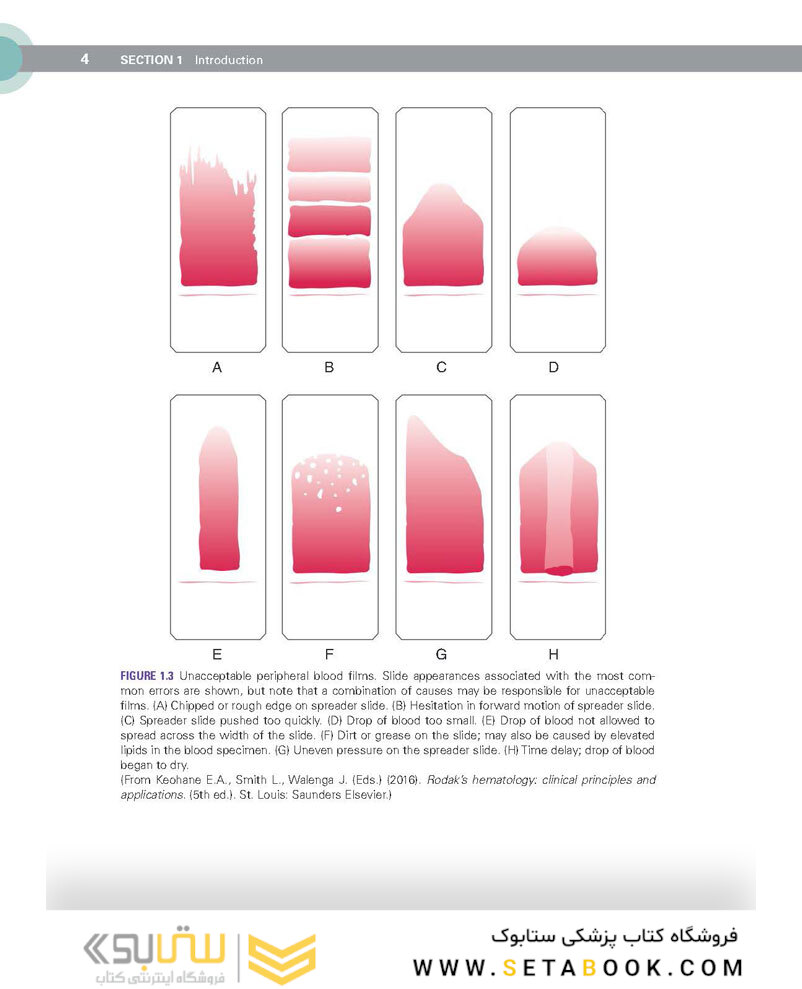 Clinical Hematology Atlas 6th Edicion 2022