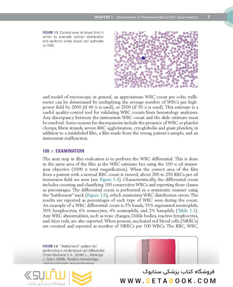 Clinical Hematology Atlas 6th Edicion 2022