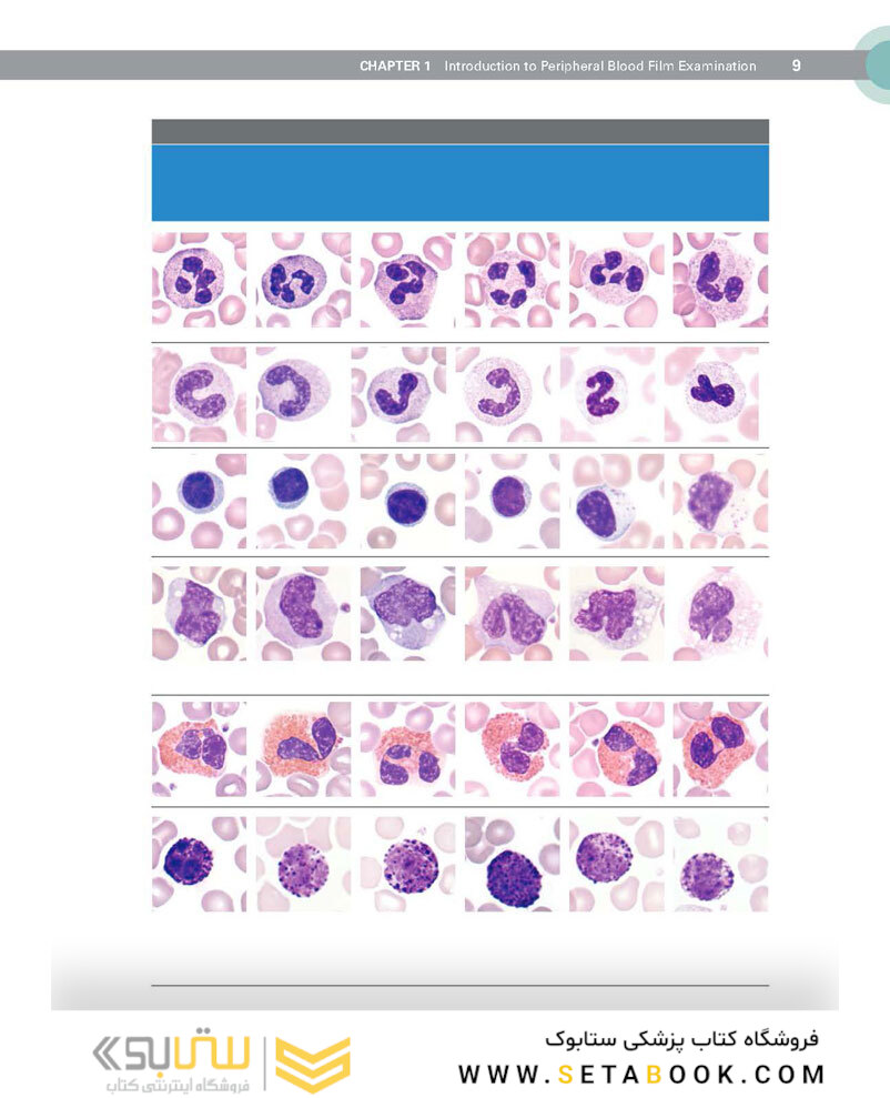Clinical Hematology Atlas 6th Edicion 2022