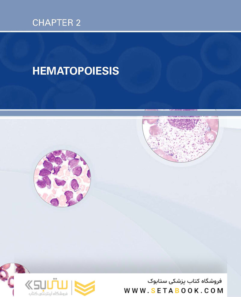 Clinical Hematology Atlas 6th Edicion 2022