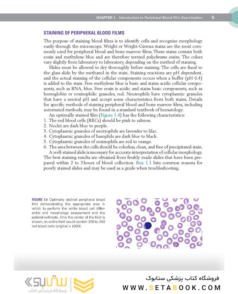 Clinical Hematology Atlas 6th Edicion 2022