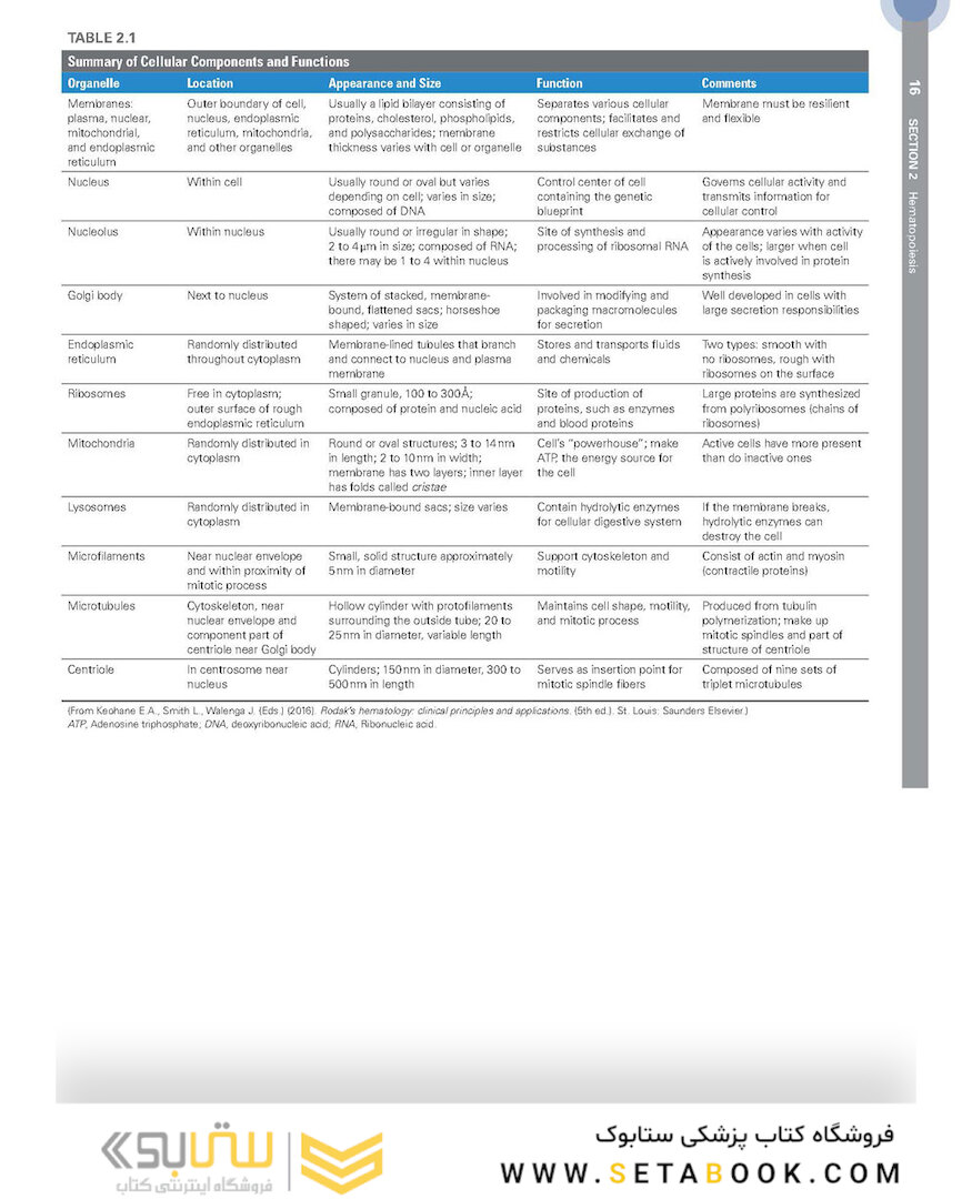 Clinical Hematology Atlas 6th Edicion 2022