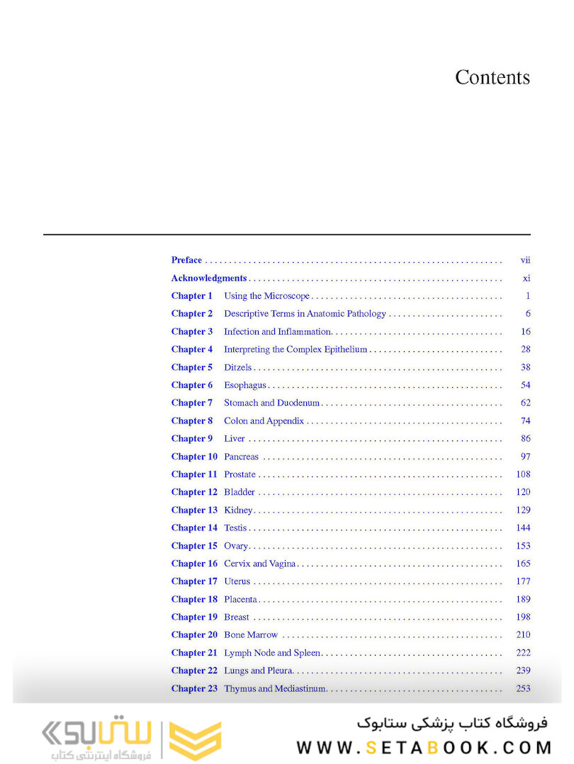The Practice of Surgical Pathology: A Beginner
