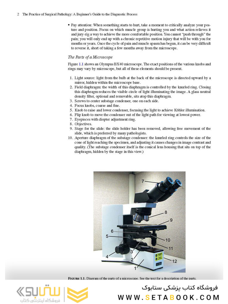 The Practice of Surgical Pathology: A Beginner