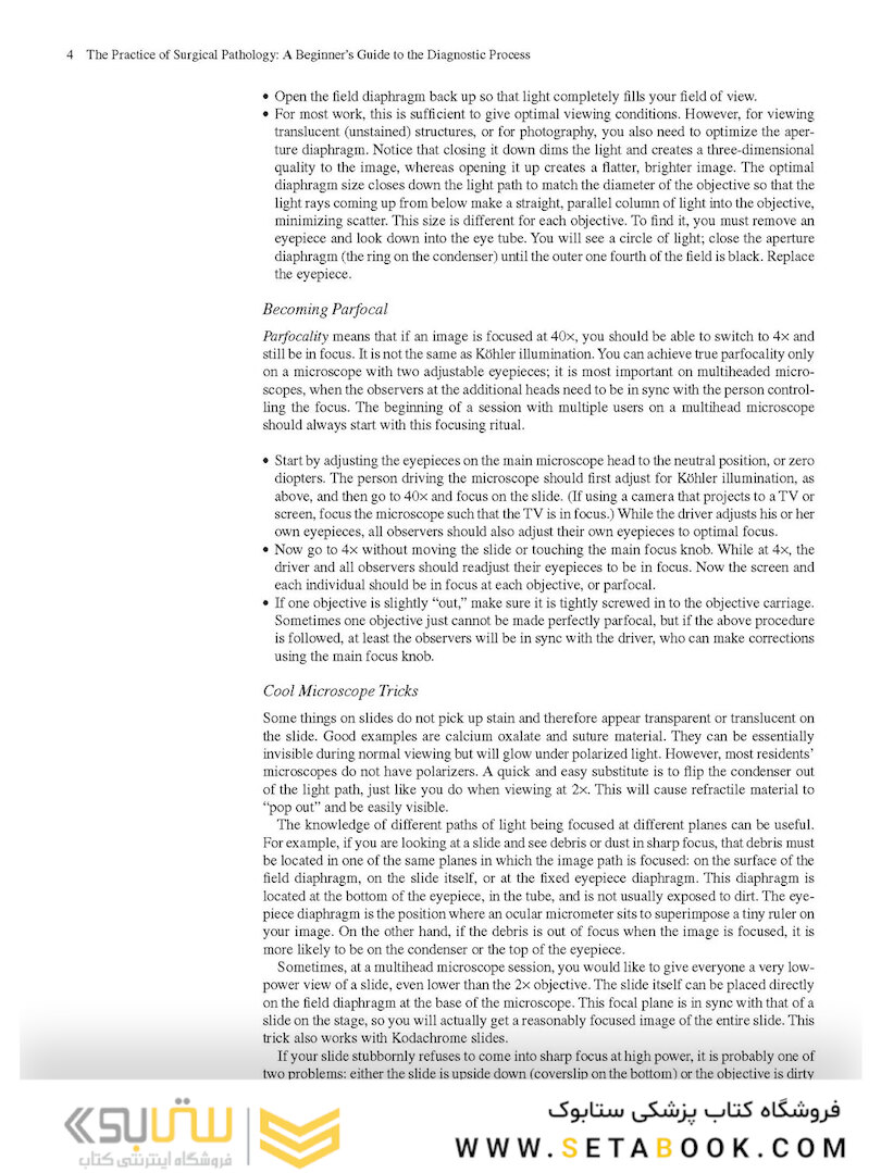 The Practice of Surgical Pathology: A Beginner