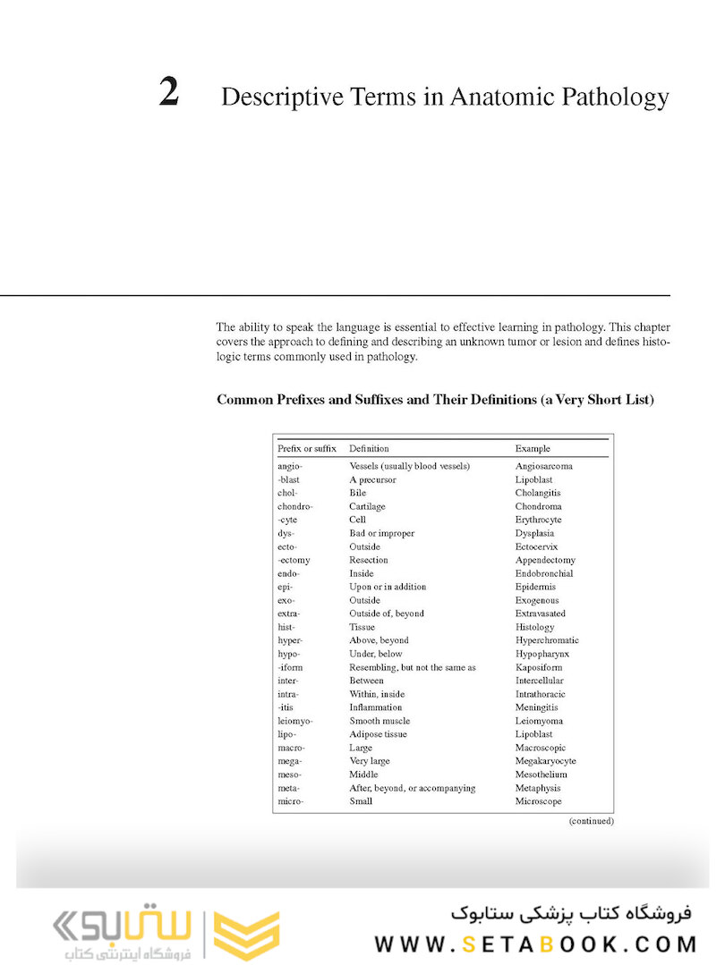 The Practice of Surgical Pathology: A Beginner