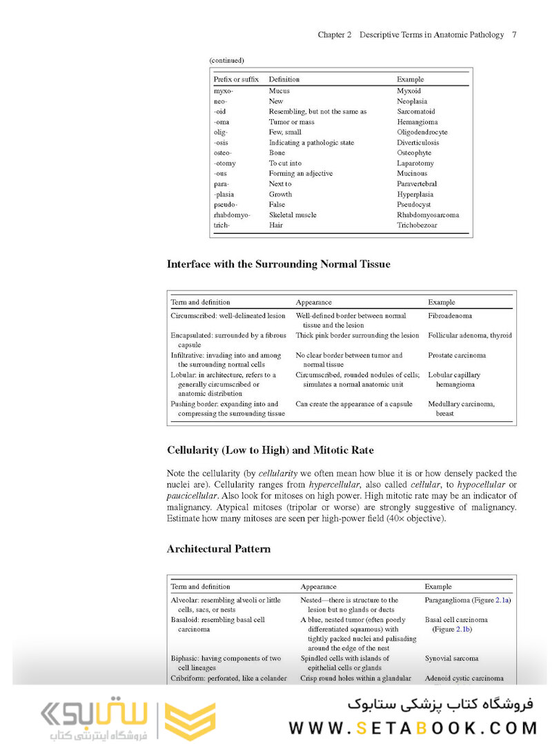 The Practice of Surgical Pathology: A Beginner