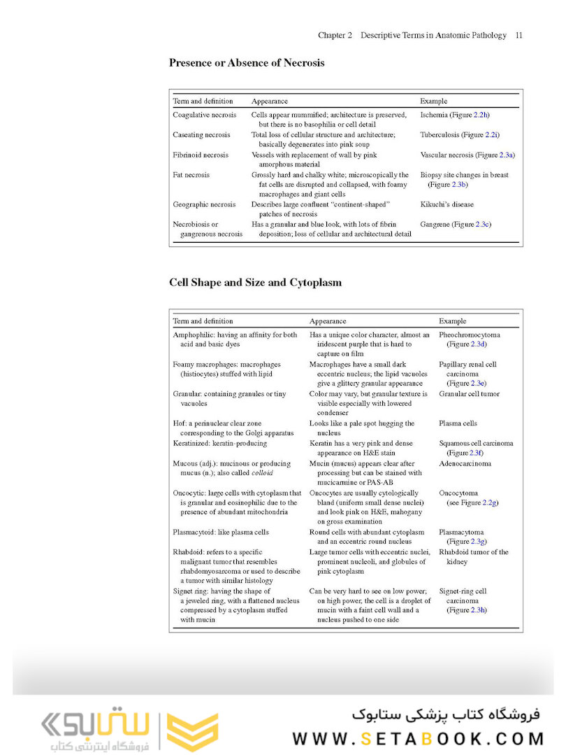The Practice of Surgical Pathology: A Beginner