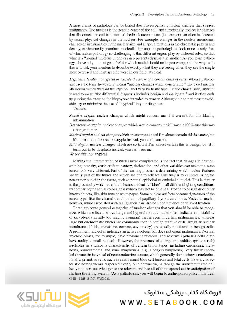 The Practice of Surgical Pathology: A Beginner